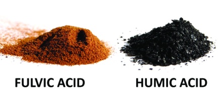 fulvic acid & humic_acid